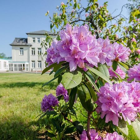 Hotel Siegmar Im Geschaftshaus ケムニッツ エクステリア 写真
